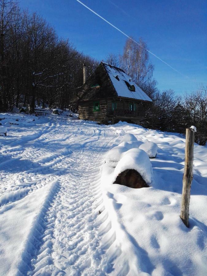Гостевой дом Casa Glod Glod  Экстерьер фото