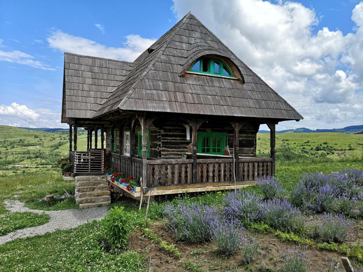 Гостевой дом Casa Glod Glod  Экстерьер фото