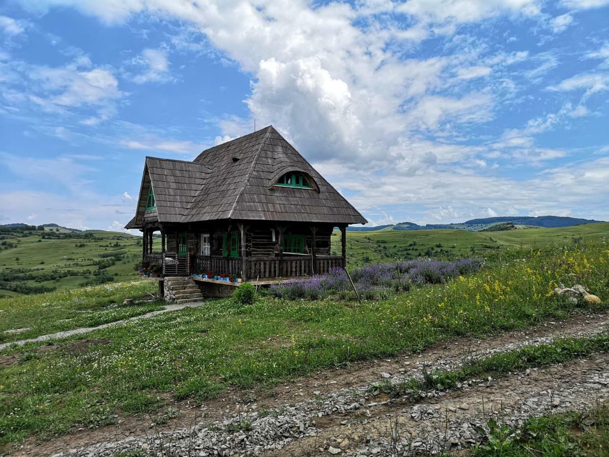 Гостевой дом Casa Glod Glod  Экстерьер фото