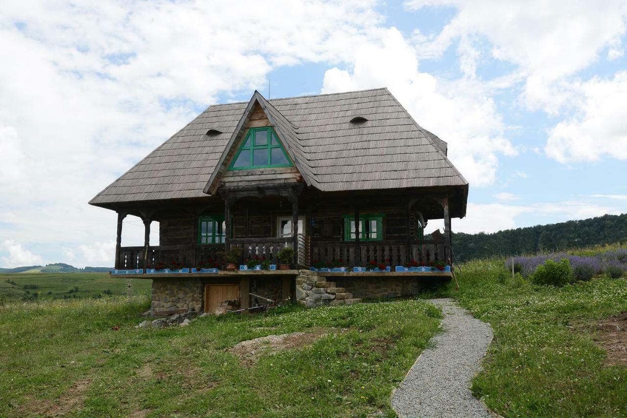 Гостевой дом Casa Glod Glod  Экстерьер фото