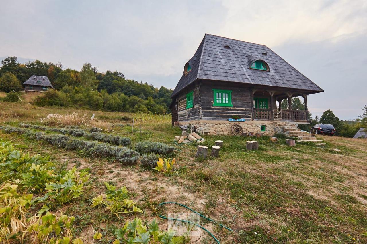 Гостевой дом Casa Glod Glod  Экстерьер фото